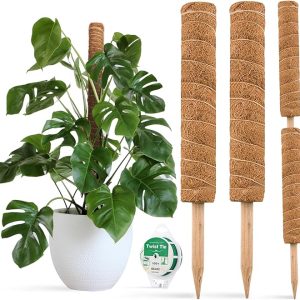 JOYSEUS 30-Inch Moss Pole Support for Climbing Plants – 2 Pack of 15-Inch Coir Totem Poles with 65 Feet Garden Twist Tie for Monstera and Potted Plants