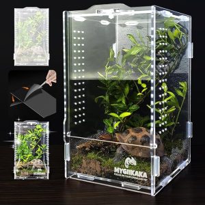 Acrylic Insect Terrarium for Jumping Spiders, Praying Mantis, and Frogs – Ideal Bug Habitat and Enclosure