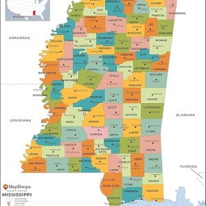 Mississippi County Map: Laminated Standard Size 36″ x 40.5″ for Easy Reference