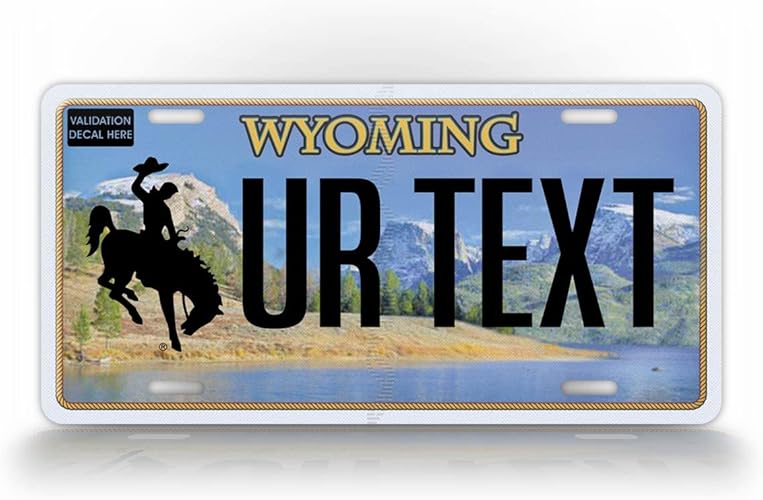 Wyoming License Plate: Custom Personalized Metal Auto Tag with Any Text for Explore WY 2 Wyoming License Plate: Custom Personalized Metal Auto Tag with Any Text for Explore WY