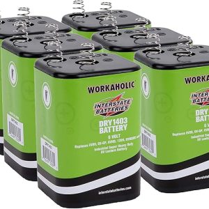 6V Battery: Interstate Batteries 6-Pack HD Lantern Flashlight Battery, 7000 mAH for Camping and Outdoors (DRY1403)