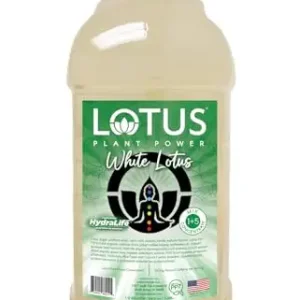 Lotus Drink Concentrate: White Lotus Plant Energy Beverage with Pure Cane Sugar – 64 fl oz, 1:5 Ratio, Natural Caffeine from Green Coffee Bean