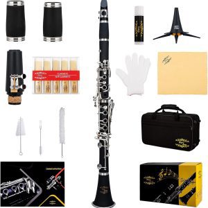 Glory GLY‑PBK Professional Ebonite Bb Clarinet with Complete Accessory Kit (10 Reeds, Hard Case, Stand, Cleaning Supplies)