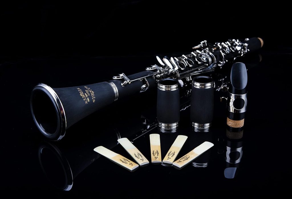 Glory GLY‑PBK Professional Ebonite Bb Clarinet with Complete Accessory Kit (10 Reeds, Hard Case, Stand, Cleaning Supplies)
