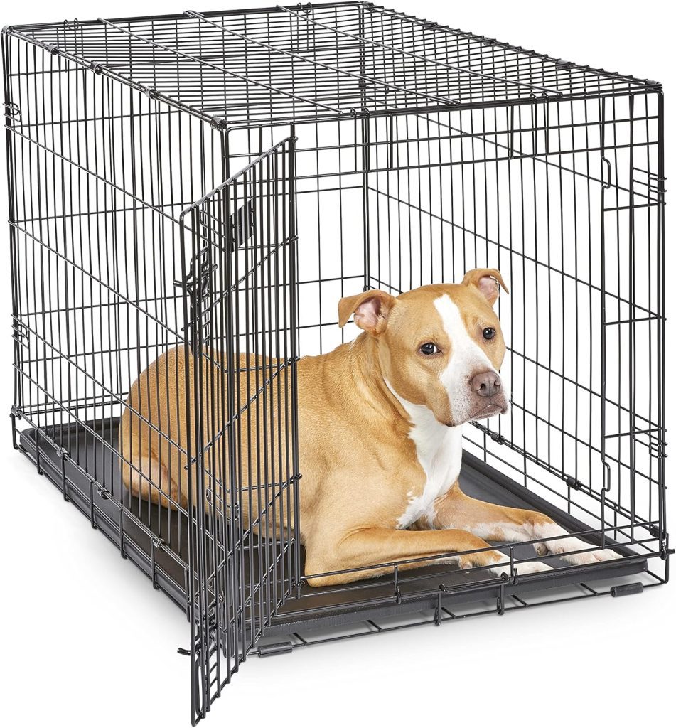 Crate Dog Crate: MidWest Homes for Pets 36-Inch iCrate Folding Kennel with Divider Panel, Leak-Proof Tray & Secure Latches – Ideal for Medium to Large Breeds
