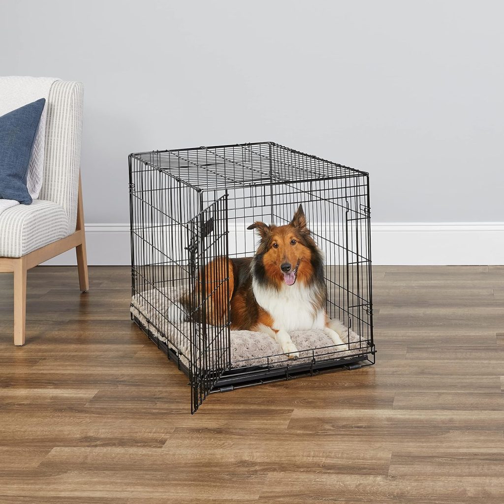 Crate Dog Crate: MidWest Homes for Pets 36-Inch iCrate Folding Kennel with Divider Panel, Leak-Proof Tray & Secure Latches – Ideal for Medium to Large Breeds