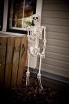 Skeleton Halloween Decoration – 5 FT Life-Size Poseable Skeletons for Indoor & Outdoor Use, Realistic Durable Plastic Prop for Yard, Porch & Haunted House