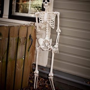 Skeleton Halloween Decoration – 5 FT Life-Size Poseable Skeletons for Indoor & Outdoor Use, Realistic Durable Plastic Prop for Yard, Porch & Haunted House