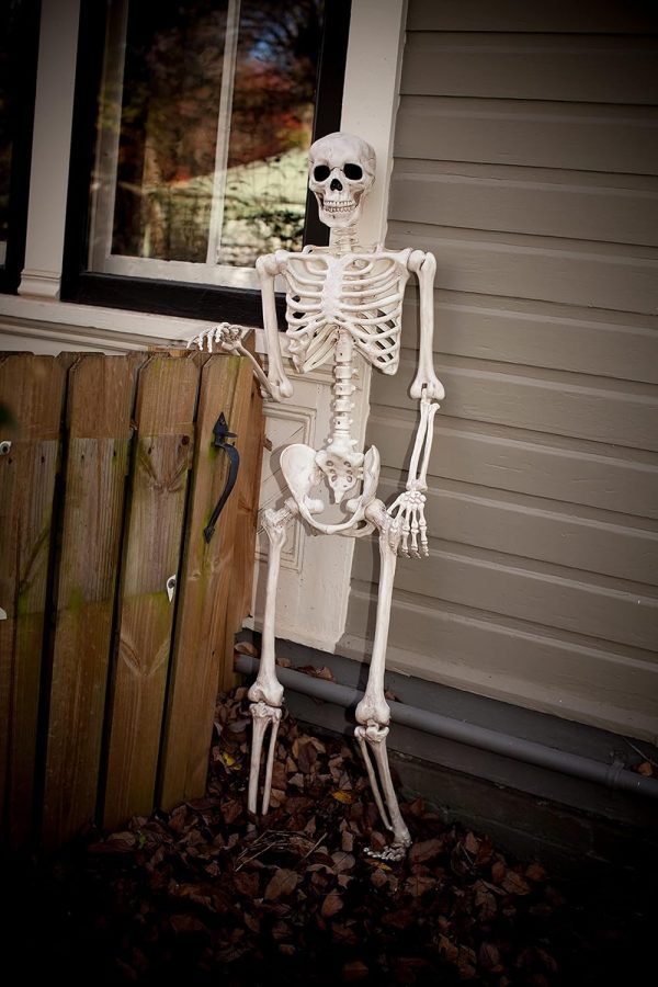 Skeleton Halloween Decoration – 5 FT Life-Size Poseable Skeletons for Indoor & Outdoor Use, Realistic Durable Plastic Prop for Yard, Porch & Haunted House