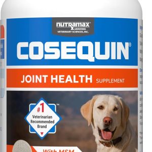 Nutramax Cosequin Chewable Dog Joint Health Supplement – Glucosamine with Chondroitin and MSM, 132 Count