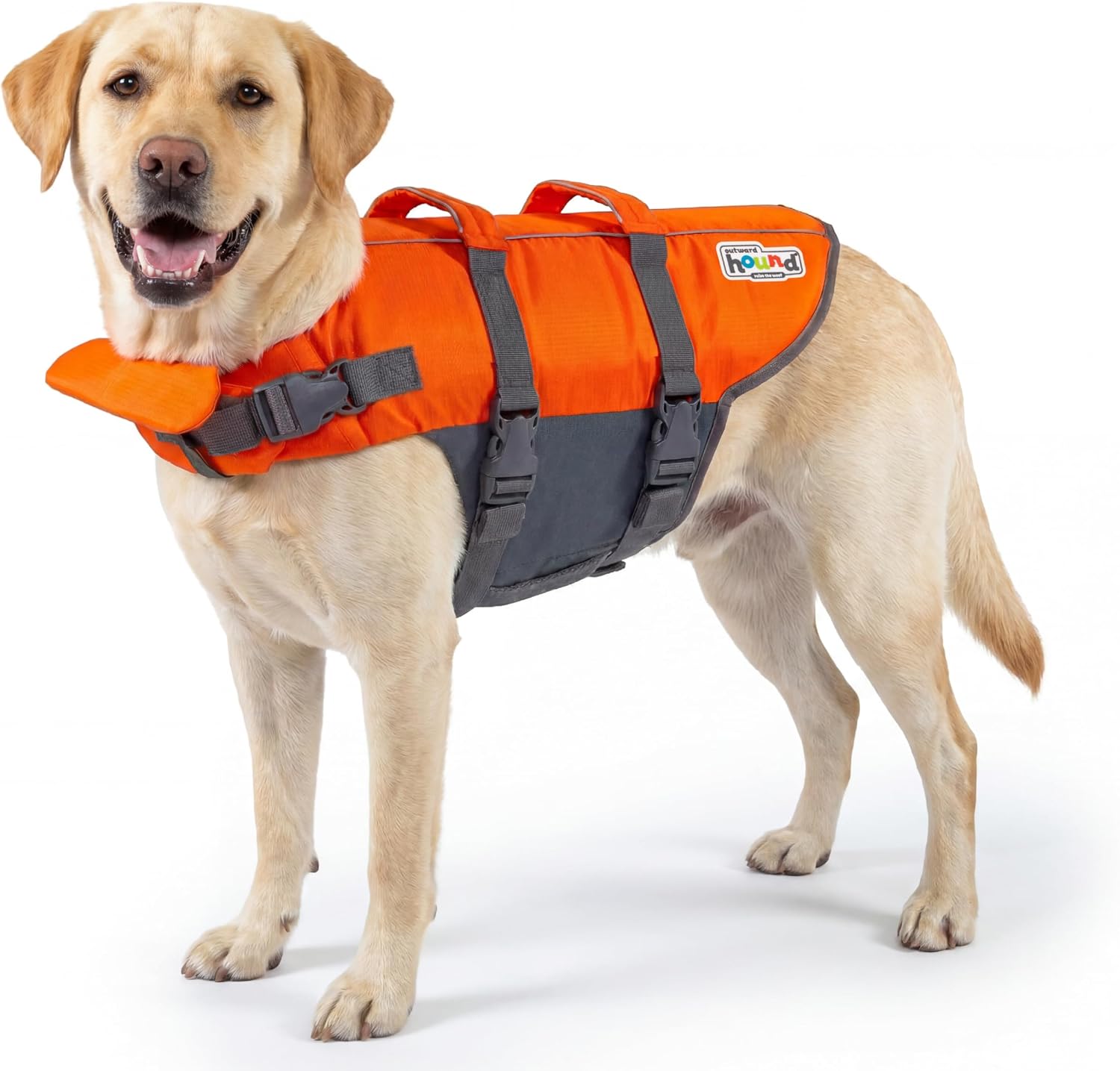 Outward Hound Granby Dog Life Jacket – Buoyancy Vest with Rescue Handle, Reflective Trim, Adjustable Straps