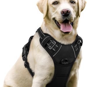 rabbitgoo No-Pull Dog Harness for Large Dogs – Padded Vest with 2 Leash Clips & Reflective Trim